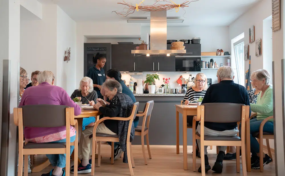 Küchenhilfe/Hauswirtschaftskraft 2